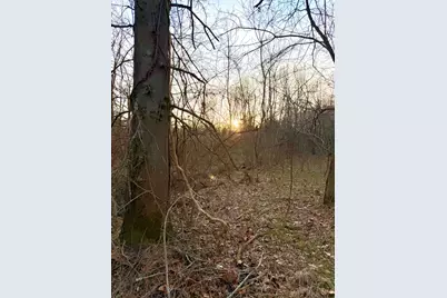 0 Martin Alexander, Jackson Township, OH 45171 - Photo 10