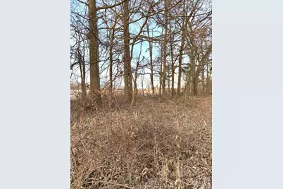 0 Martin Alexander, Jackson Township, OH 45171 - Photo 38