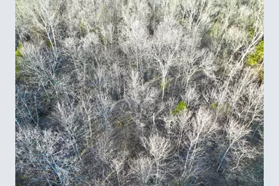 0 Martin Alexander, Jackson Township, OH 45171 - Photo 48