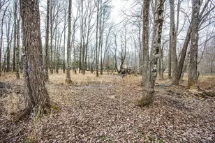 2575 Airport Rd, Bethel, OH 45106 - Photo 26