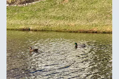 9917 Shorewood Lane #5B, Sharonville, OH 45241 - Photo 44