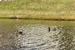 9917 Shorewood Ln, Sharonville, OH 45241 - Photo 44