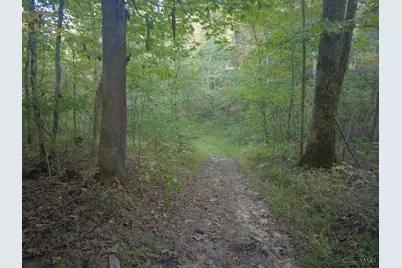 22 Richey Road, Felicity, OH 45120 - Photo 12