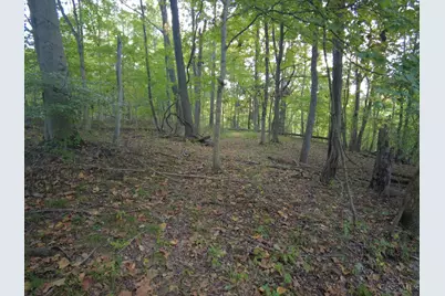 22 Richey Road, Felicity, OH 45120 - Photo 24