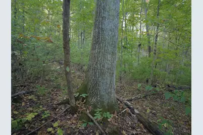 22 Richey Road, Felicity, OH 45120 - Photo 14