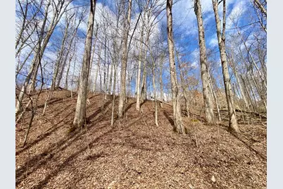 20 Beech Fork Road, Otway, OH 45657 - Photo 12