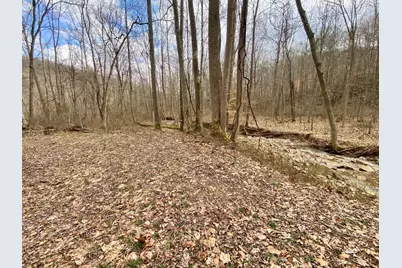 20 Beech Fork Road, Otway, OH 45657 - Photo 10