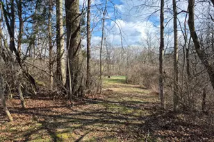 6656 St Rt 133, Wayne Township, OH 45162 - Photo 8