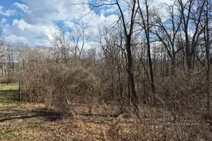 6656 St Rt 133, Wayne Township, OH 45162 - Photo 10