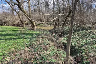 6656 St Rt 133, Wayne Township, OH 45162 - Photo 22