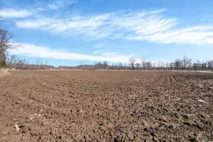 10435 St Rt 128, Crosby Township, OH 45030 - Photo 22