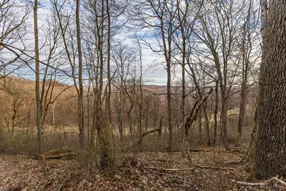 1054 Coon Hollow Road, Blue Creek, OH 45616 - Photo 24