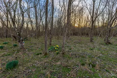 0 Lura Lane, Bratton Township, OH 45660 - Photo 8