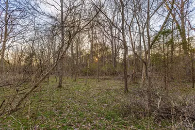 0 Lura Lane, Bratton Township, OH 45660 - Photo 10