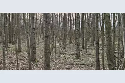 508 Cherry Street, Blanchester, OH 45107 - Photo 1