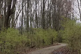 5719 Linda Way, Miami Township, OH 45150 - Photo 16