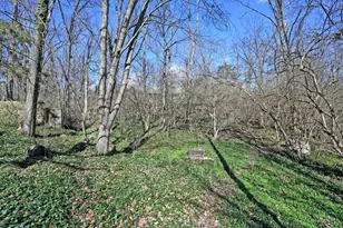 11614 Symmes Creek Dr, Symmes Township, OH 45140 - Photo 62