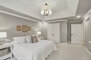 1054 Observatory Point, Hamilton Township, OH 45039 - Photo 50