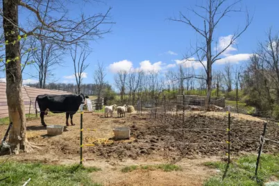 2326 Eden Road, Lewis Township, OH 45130 - Photo 8