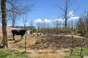 2326 Eden Rd, Lewis Township, OH 45130 - Photo 8