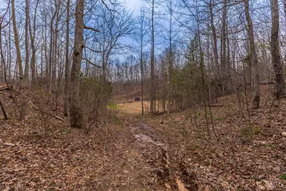 1025 Davis Memorial Road, Peebles, OH 45660 - Photo 52