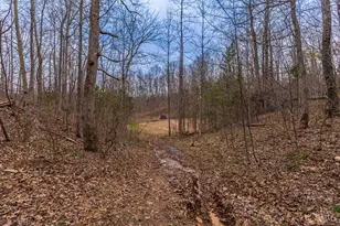 1025 Davis Memorial Rd, Peebles, OH 45660 - Photo 52