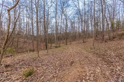 1025 Davis Memorial Road, Peebles, OH 45660 - Photo 48