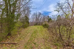 1025 Davis Memorial Rd, Peebles, OH 45660 - Photo 54