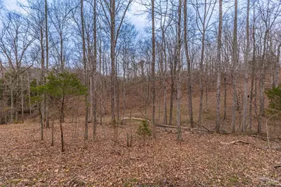 1025 Davis Memorial Road, Peebles, OH 45660 - Photo 46