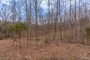 1025 Davis Memorial Rd, Peebles, OH 45660 - Photo 46