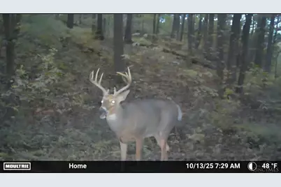 1025 Davis Memorial Road, Peebles, OH 45660 - Photo 56