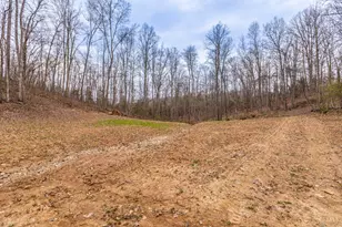 1025 Davis Memorial Rd, Peebles, OH 45660 - Photo 50