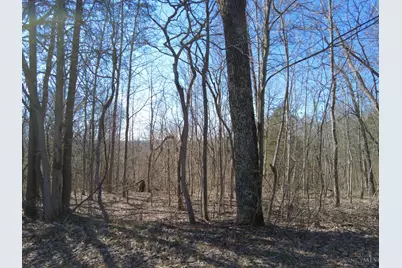 543 Ginger Lane, Oliver Township, OH 45693 - Photo 4