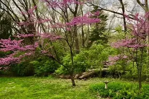 2361 Wilmington Rd, Turtle Creek Township, OH 45036 - Photo 58