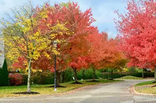 5984 Woodsbend Dr, Miami Township, OH 45150 - Photo 40