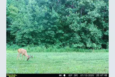 19320 Duck Creek Road, Metamora, IN 47030 - Photo 72