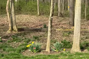 6361 Sterling Woods Dr, Clayton, OH 45315 - Photo 70