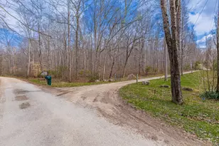 1620 Coffee Hollow Rd, Peebles, OH 45660 - Photo 24