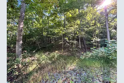 0 Coon Hollow Road, Clarksville, OH 45648 - Photo 4