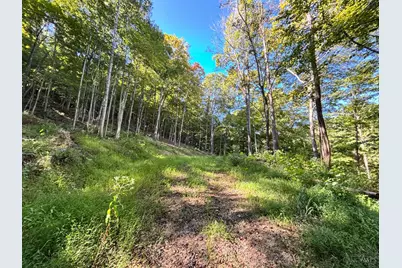 0 Coon Hollow Road, Clarksville, OH 45648 - Photo 8