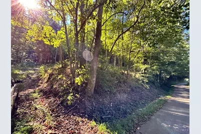 0 Coon Hollow Road, Clarksville, OH 45648 - Photo 2
