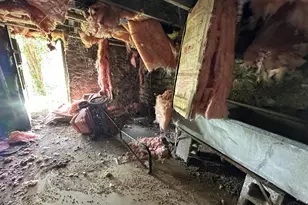 1765 Denham St, Cincinnati, OH 45225 - Photo 48