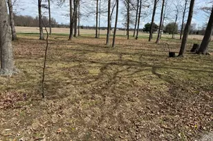 7212 George Faul Rd, Washington Township, OH 45171 - Photo 74