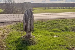 2240 St Rt 73, Jackson Twp, OH 45133 - Photo 10