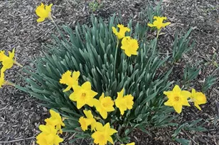 5942 Cedaridge Dr, Green Township, OH 45247 - Photo 70