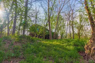 1225 Stoney Rd, Peebles, OH 45660 - Photo 52