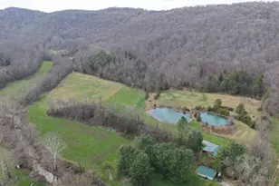 7583 Blue Creek Rd, Jefferson Twp, OH 45684 - Photo 2