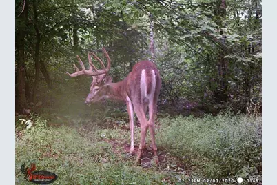 7583 Blue Creek Road, Jefferson Twp, OH 45684 - Photo 52