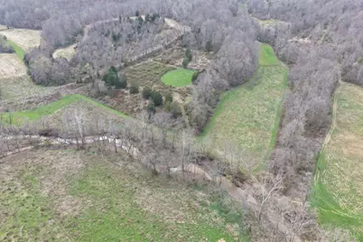 7583 Blue Creek Road, Jefferson Twp, OH 45684 - Photo 48