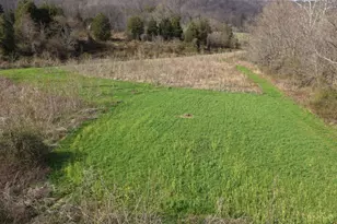 7583 Blue Creek Rd, Jefferson Twp, OH 45684 - Photo 36